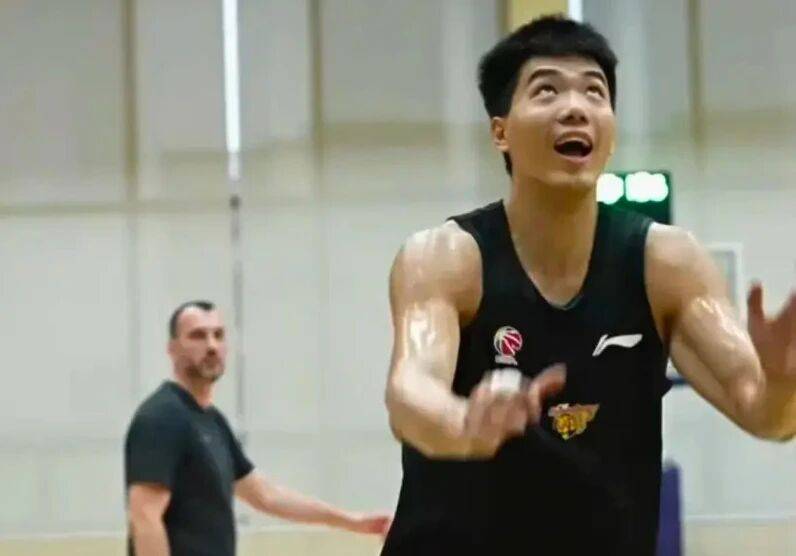 的后场隐患, 合理有关, 泊乔对国内